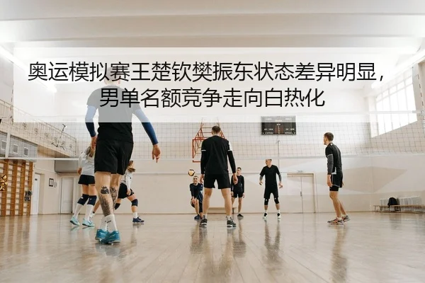 奥运模拟赛王楚钦樊振东状态差异明显，男单名额竞争走向白热化